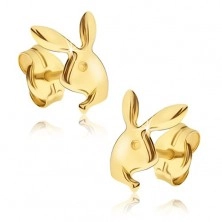 Earrings made of yellow 14K gold - shiny head of a bunny