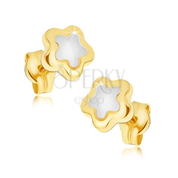 Glossy earrings made of gold 14K - two-tone flower with five petals