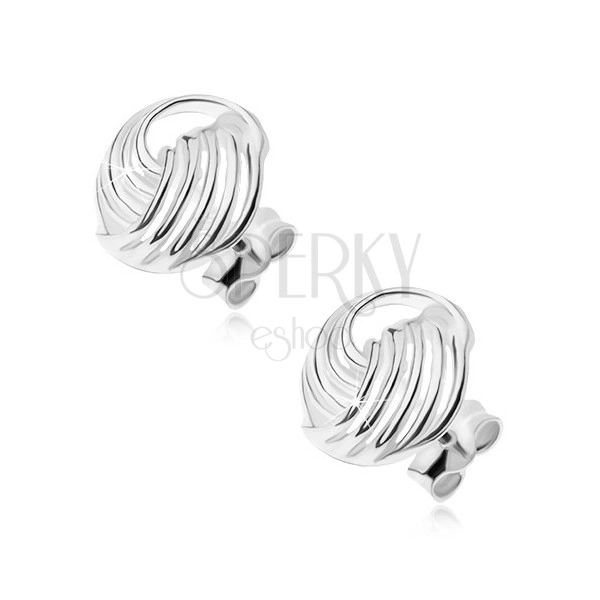 925 silver earrings, twisted strips made of wires