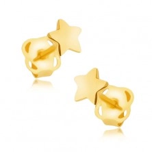 Earrings in yellow 9K gold - mirror-polished five-pointed star