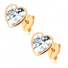 375 gold earrings - glittery ground zircon heart, shiny rim