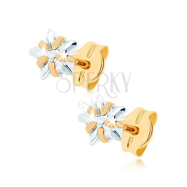 Stud earrings made of yellow 9K gold -clear zircon star