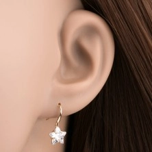 585 gold earrings with sparkly hooks, cut star in clear colour
