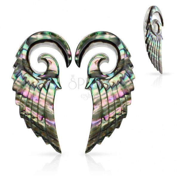 Expanders made of organic material, spiral with angel wing, Paua shell 