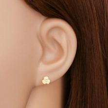 585 gold earrings - sparkly clear brilliant in shiny flower, studs