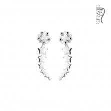 Crawler earrings - arc composed of stars and cut zircon