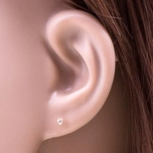 585 gold stud earrings - clear circular zircon in a mount, 2 mm