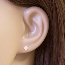 14K yellow gold earrings - shiny flat circle, stud fastening