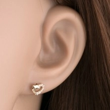 585 gold brilliant earrings - heart contour with a diamond line and a dolphine