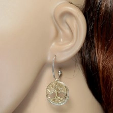 925 silver two-coloured earrings, incomplete circle, three of life in a band