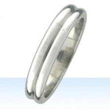 Steel ring with two rounded strips