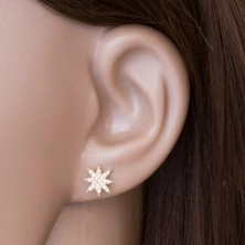 14K yellow gold earrings - sparkling star decorated with clear zircons