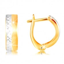 14K gold earrings - smooth matte stripe in yellow colour, refined line of white gold