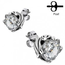Stainless steel earrings - round clear zircon, decorative mount