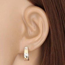 Combined 585 gold earrings - horseshoe, widening strip