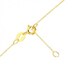 Yellow 9K gold necklace - tear contour, thin chain of oval eyes