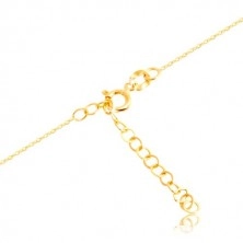 585 gold necklace - shiny hoop and vertical strip, fine chain