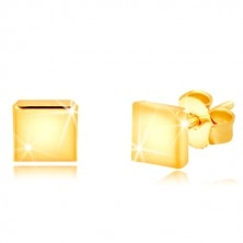 Earrings made of 375 yellow gold - mirror-polished square, studs