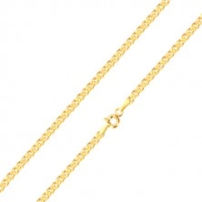 Yellow 375 gold chain - elliptical and oval ring within, 450 mm