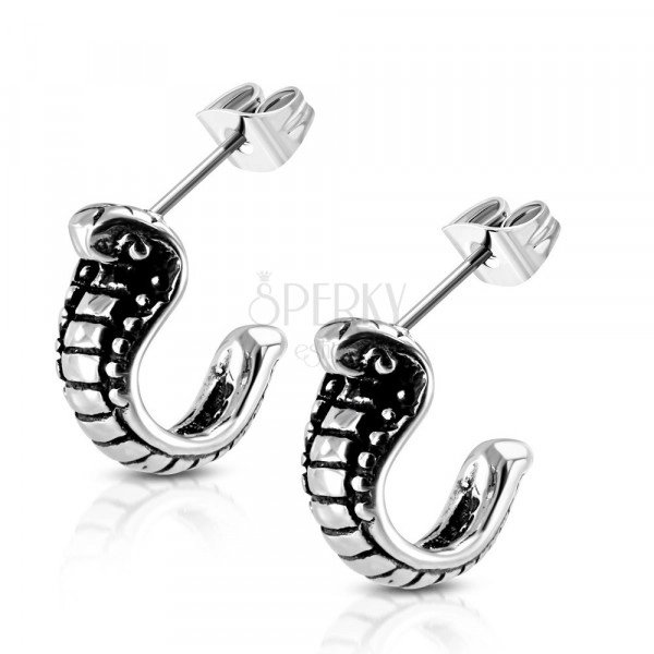 Steel earrings - patina cobra of silver colour, studs