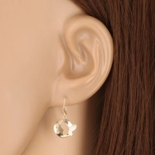 Combined 375 gold earrings - glossy circle with butterfly and zircons