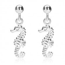 925 silver earrings - hanging seahorse, glossy ball, studs
