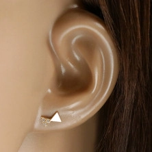Stud earrings in 585 gold – men´s bow tie motif, round clear zircons