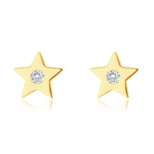 Earrings in 14K yellow gold – five-pointed star with a zircon, smooth shiny surface