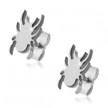 Stainless steel earrings - flat spider