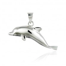 Pendant made of 925 silver - jumping dolphin, 37 mm