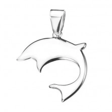Steel dolphin - bright pendant